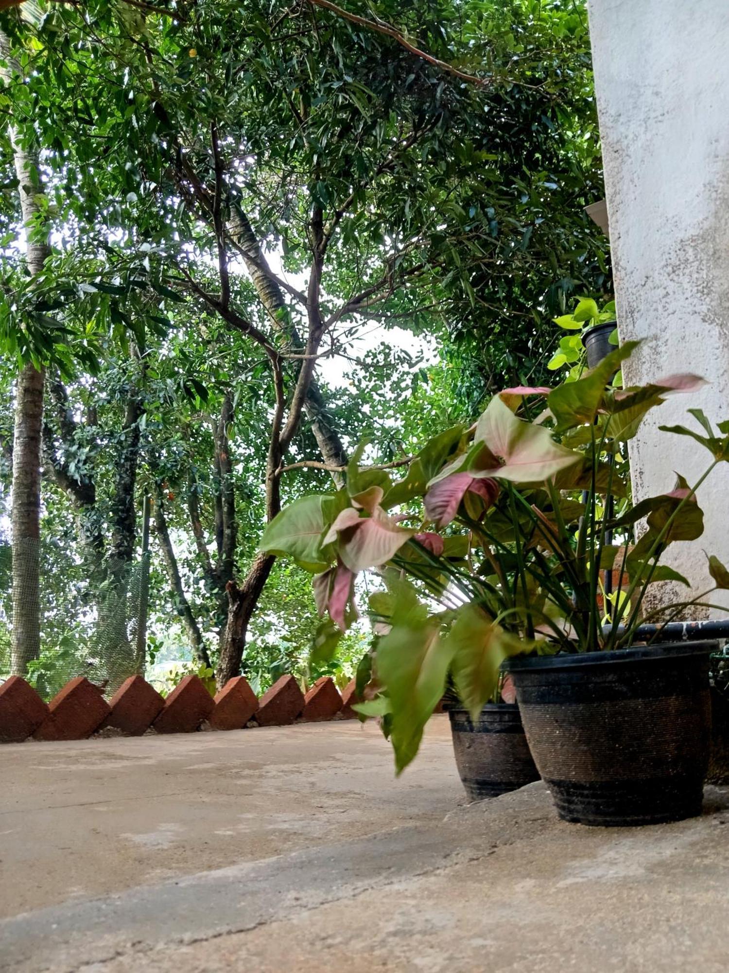Fly Infinity - Home Stay Kandy Eksteriør billede