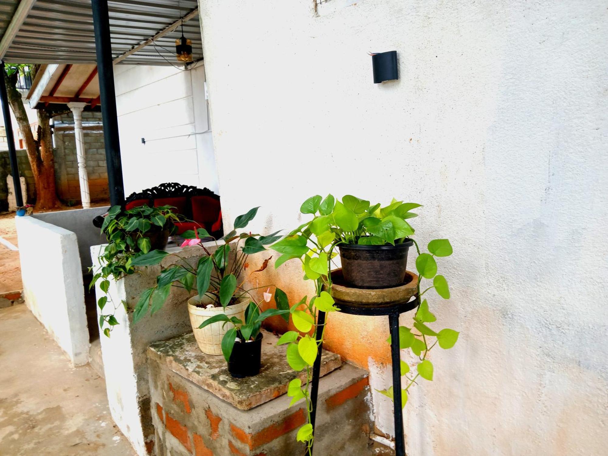 Fly Infinity - Home Stay Kandy Eksteriør billede