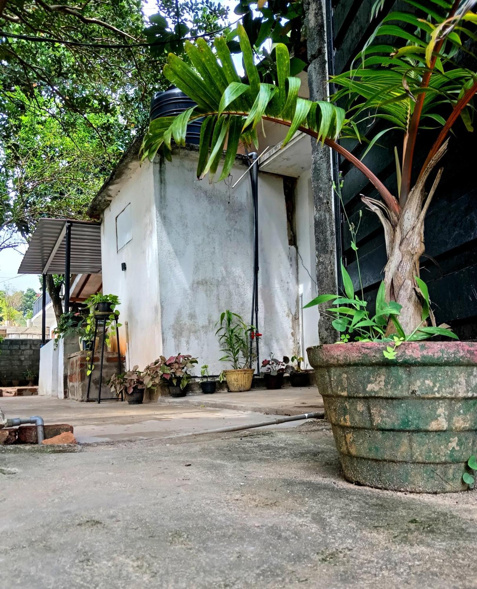 Fly Infinity - Home Stay Kandy Eksteriør billede