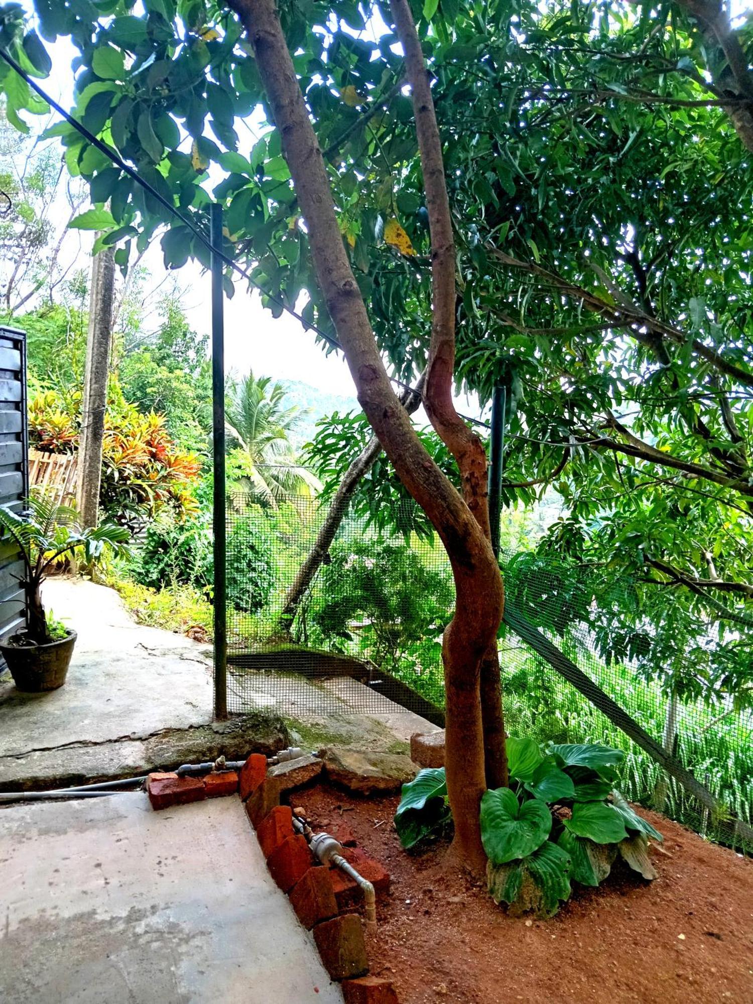 Fly Infinity - Home Stay Kandy Eksteriør billede