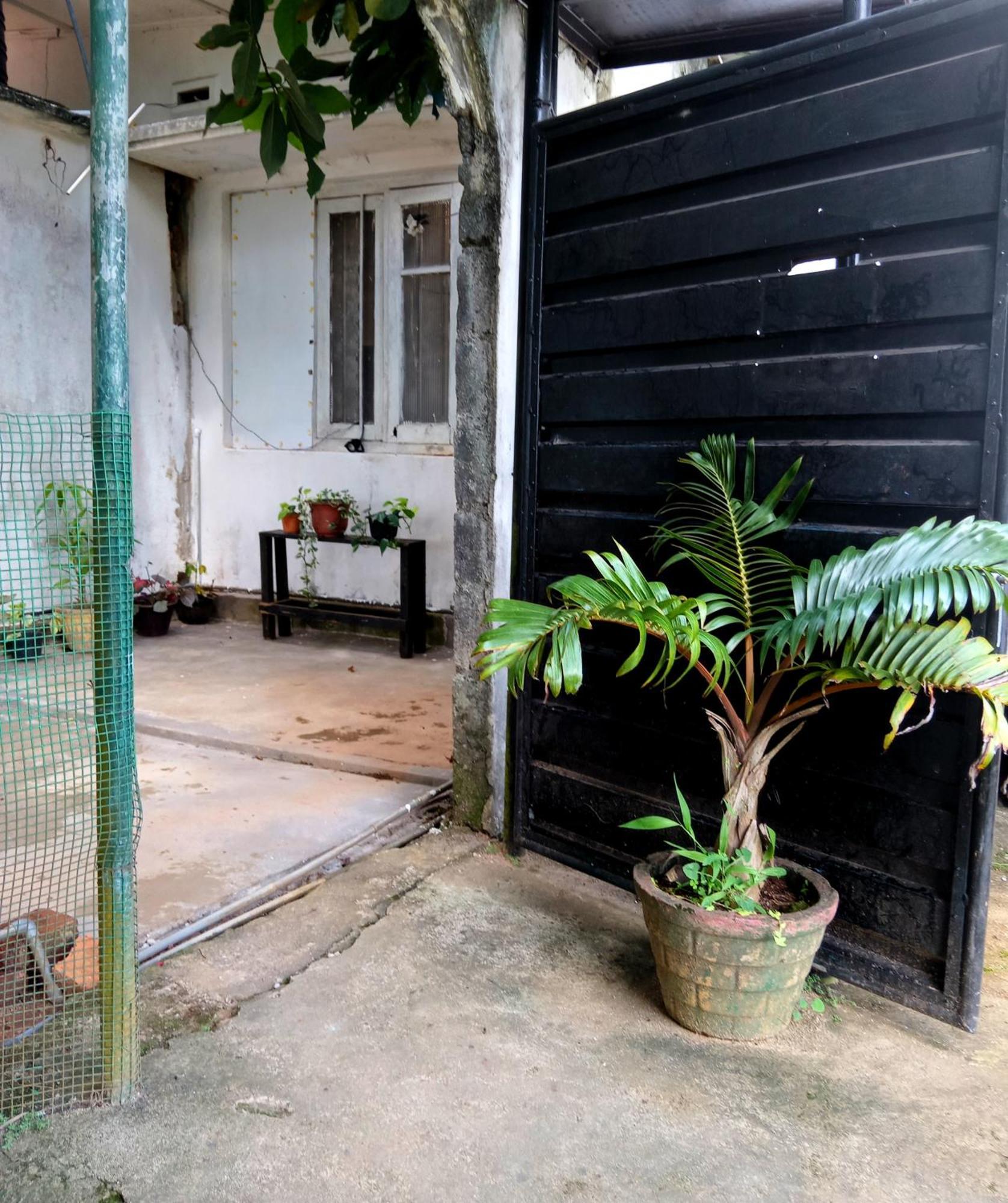 Fly Infinity - Home Stay Kandy Eksteriør billede