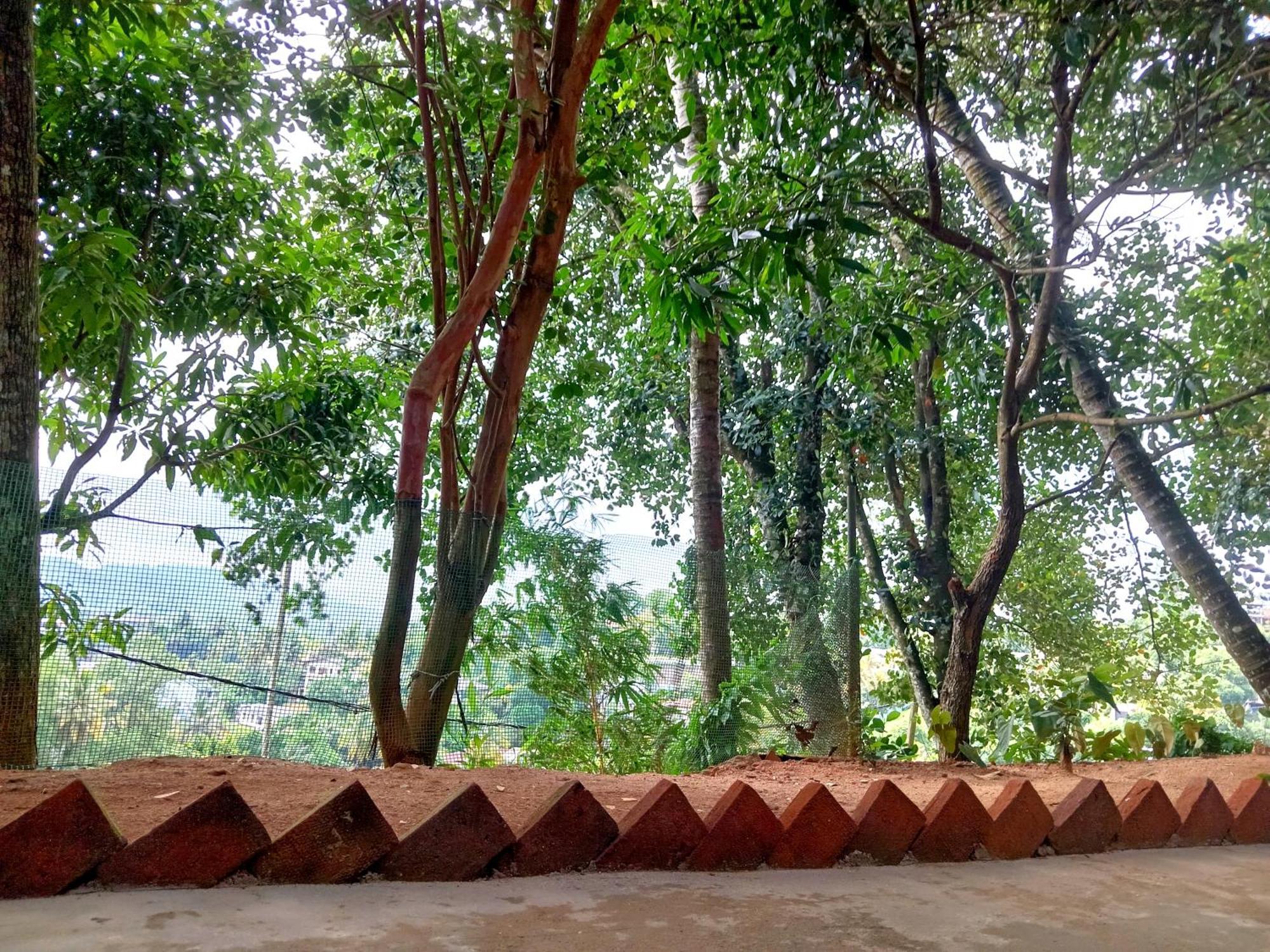 Fly Infinity - Home Stay Kandy Eksteriør billede